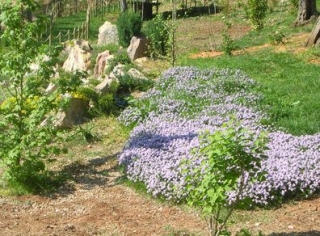  los jardines de Proserpina 